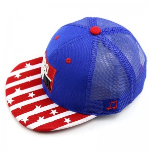 Custom 3D Embroidery gorras casquette de hip hop Sports caps Baseball hat New Vintage cap era a frame mesh Snapback Cap