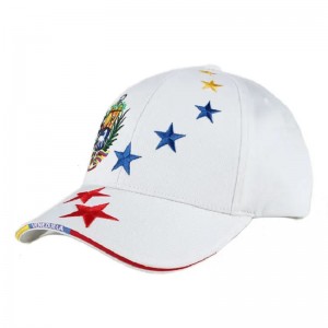 custom embroidery baseball cap